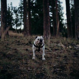 Meet your Posher, Lisandra